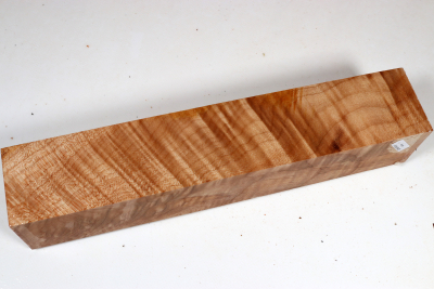 Kantel Muschelahorn 305x60x60mm - Ahorn0405