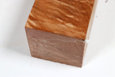 Kantel Muschelahorn 305x60x60mm - Ahorn0405