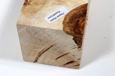 Square Burl 330x65x65mm- PapM0344