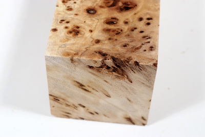 Square Burl 330x65x65mm- PapM0344
