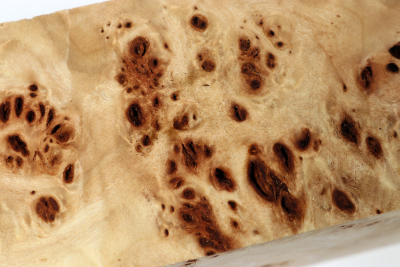 Square Burl 345x65x65mm- PapM0342