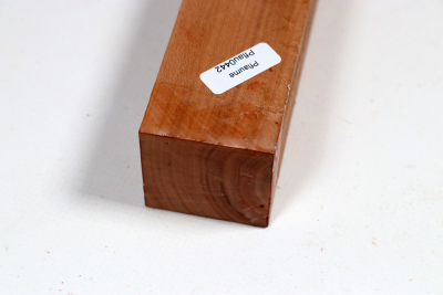 Square Plum Tree 305x40x40mm - Pflau0442