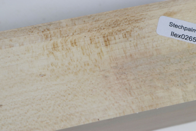 Kantel Stechpalme 170x50x50mm - Ilex0265