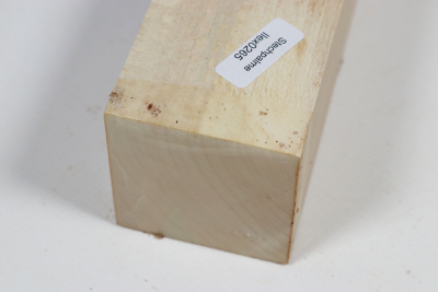 Kantel Stechpalme 170x50x50mm - Ilex0265