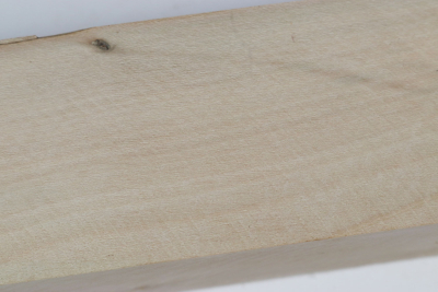 Square Holly 300x50x50mm - Ilex0282