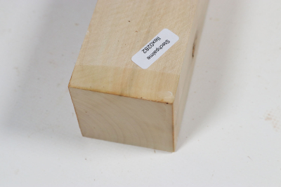 Square Holly 300x50x50mm - Ilex0282