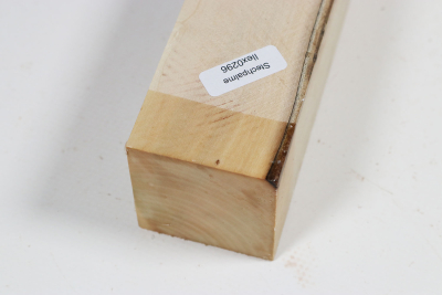 Kantel Stechpalme 310x45x45mm - Ilex0296