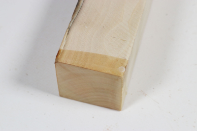 Kantel Stechpalme 310x45x45mm - Ilex0296