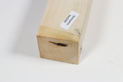 Kantel Stechpalme 340x45x45mm - Ilex0290