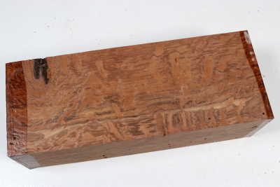 Holm Oak 200x75x55mm - SteiEi0470