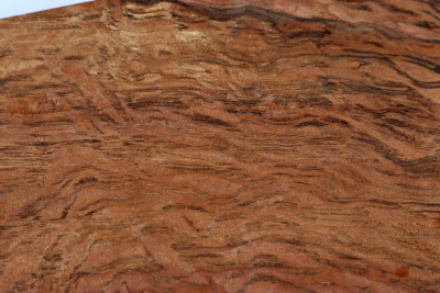 Holm Oak 200x75x55mm - SteiEi0470