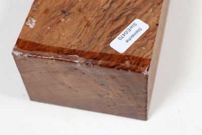 Holm Oak 200x75x55mm - SteiEi0470