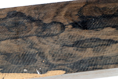 Kantel Ziricote 330x60x50mm - Ziri0860