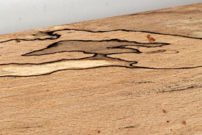 Square Beech spalted 305x65x65mm - GestBu0664
