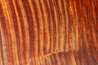 Klotz Cocobolo 170x170x73mm - Coco1333