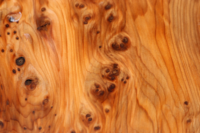 Klotz Eibe Maser 140x135x70mm - Eib1729