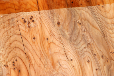 Block Yew Burl 150x150x70mm - Eib1764