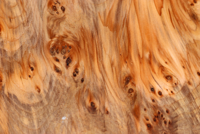 Block Yew Burl 150x150x70mm - Eib1763