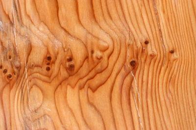 Klotz Eibe Maser 150x150x85mm - Eib1779