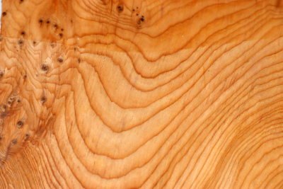 Klotz Eibe Maser 150x150x85mm - Eib1775