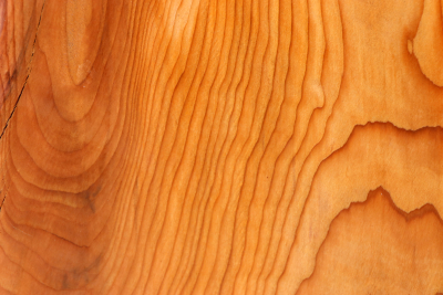 Klotz Eibe Maser 150x150x85mm - Eib1780