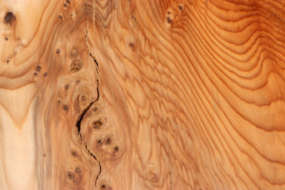 Block Yew Burl 155x125x70mm - Eib1728