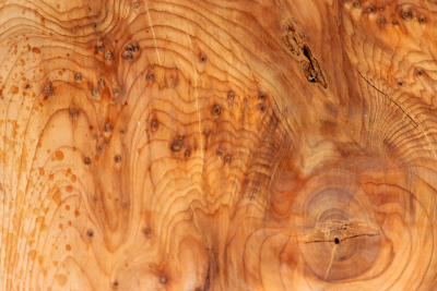 Block Yew Burl 190x190x70mm - Eib1766