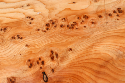 Klotz Eibe Maser 215x115x72mm - Eib1776