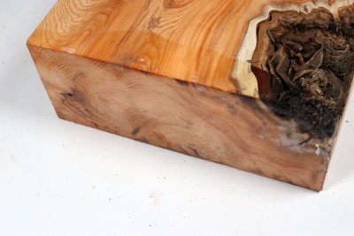 Klotz Eibe Maser 225x200x90mm - Eib1777