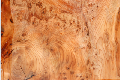 Block Yew Burl 235x215x85mm - Eib1700