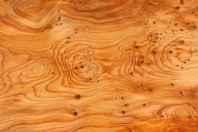 Klotz Eibe Maser 250x200x90mm - Eib1701