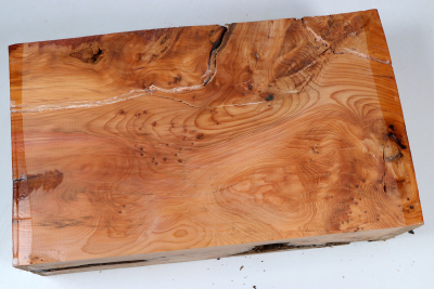 Klotz Eibe Maser 285x165x85mm - Eib1772