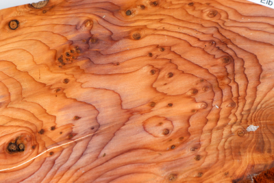 Klotz Eibe Maser 285x165x85mm - Eib1772