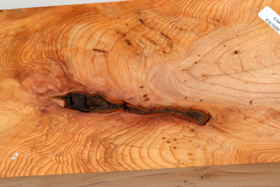 Block Yew Burl 295x115x80mm - Eib1699