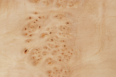 Klotz Erle Maser 2405x220x60mm - Erle0047