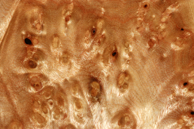 Klotz Golden Madrone 190x125x60mm - GMadr0596