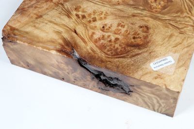 Klotz Golden Madrone 215x190x60mm - GMadr0543