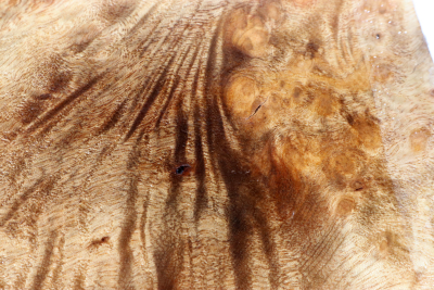 Klotz Golden Madrone 220x205x60mm - GMadr0536