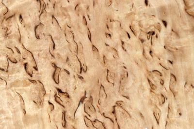 Block Karelian Masurbirch 170x170x55mm - KarMB2799