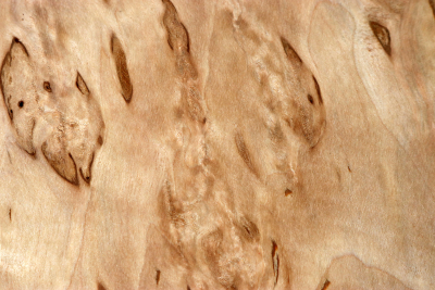 Klotz Karelische Maserbirke 190x190x55mm - KarMB2794