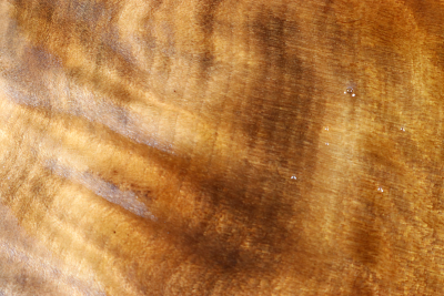 Klotz Laurel Maser 210x160x65mm - LauM0275