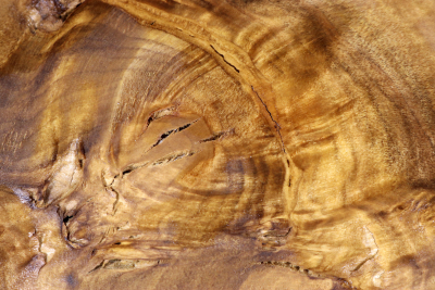 Klotz Laurel Maser 210x170x60mm - LauM0272