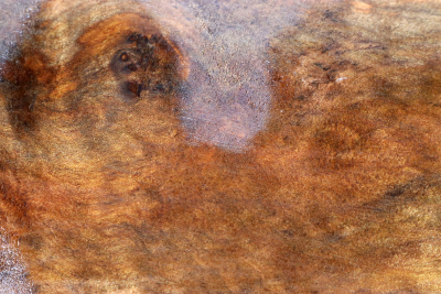 Klotz Laurel Maser 230x140x62mm - LauM0276