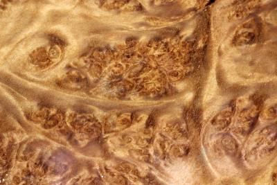 Block Laurel Burl 245x215x65mm - LauM0262