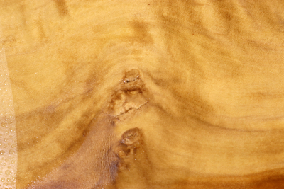 Klotz Laurel Maser 295x225x60mm - LauM0263