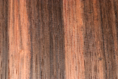 Klotz Makassar 200x200x44mm - Maka0953