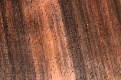 Block Macassar 200x200x44mm - Maka0955