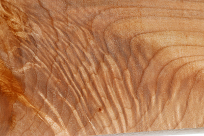 Klotz Muschelahorn 270x120x50mm - Ahorn0417