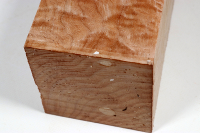 Klotz Muschelahorn 290x100x100mm - Ahorn0412