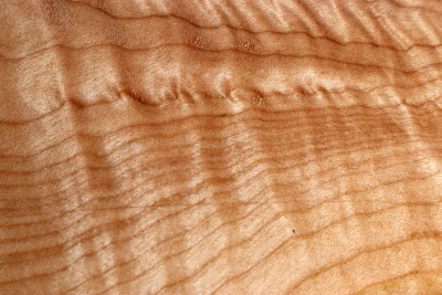 Block Qulited Maple 310x180x56mm - Ahorn0387